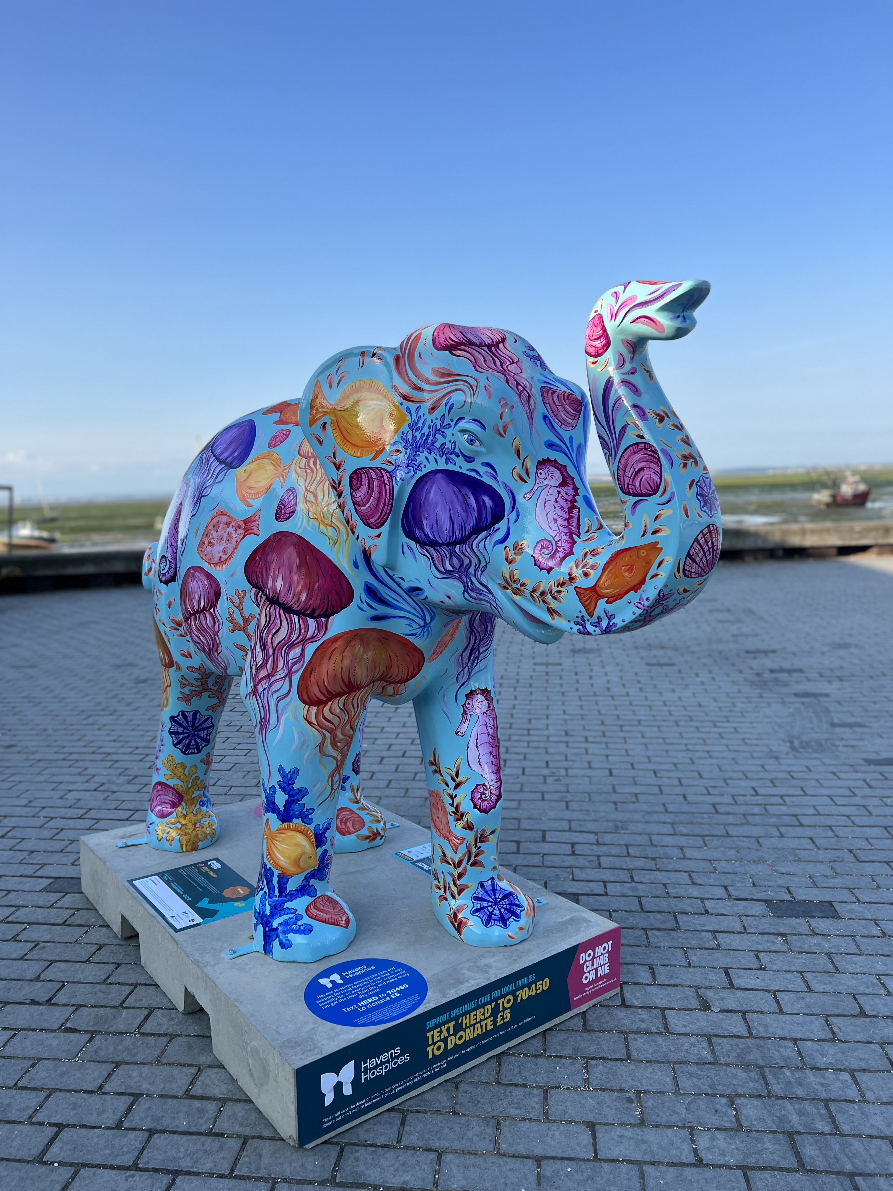 Picture of 'Jelly-Phant' on Strand Wharf